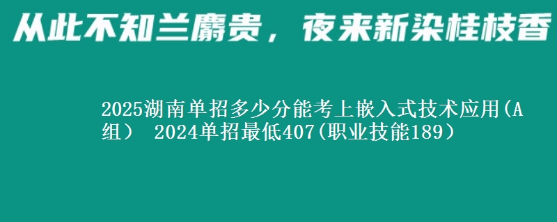 2025湖南單招多少分能考上嵌入式技術(shù)應(yīng)用(A組） 2024單招最低407(職業(yè)技能189）