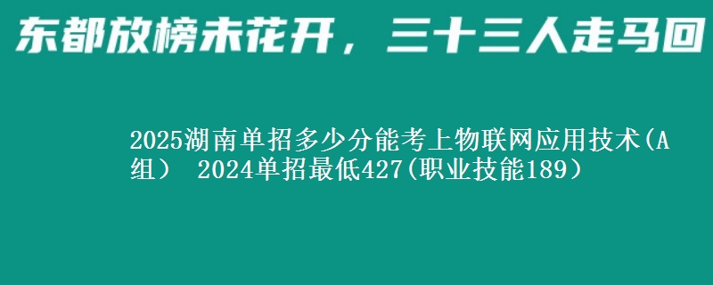 2025湖南單招多少分能考上物聯(lián)網(wǎng)應(yīng)用技術(shù)(A組） 2024單招最低427(職業(yè)技能189）