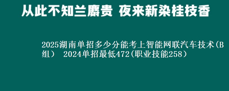 2025湖南單招多少分能考上智能網(wǎng)聯(lián)汽車技術(shù)(B組） 2024單招最低472(職業(yè)技能258）