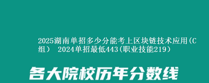 2025湖南單招多少分能考上區(qū)塊鏈技術(shù)應(yīng)用(C組） 2024單招最低443(職業(yè)技能219）