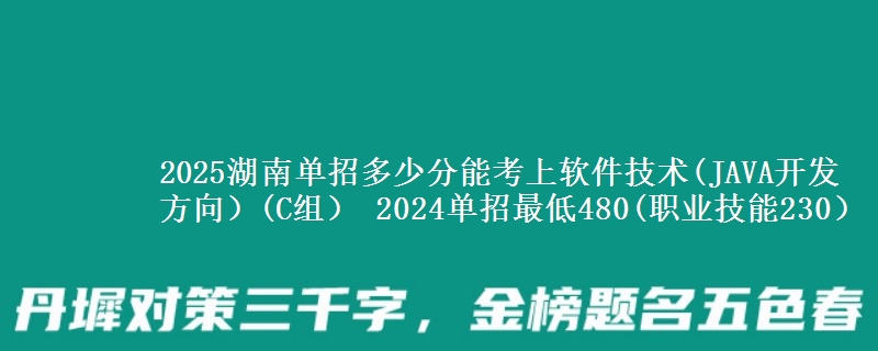 2025湖南單招多少分能考上軟件技術(shù)(JAVA開發(fā)方向）(C組） 2024單招最低480(職業(yè)技能230）
