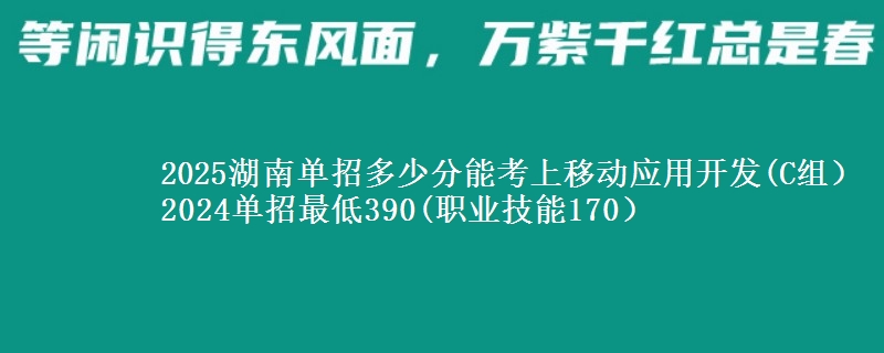 2025湖南單招多少分能考上移動應(yīng)用開發(fā)(C組） 2024單招最低390(職業(yè)技能170）