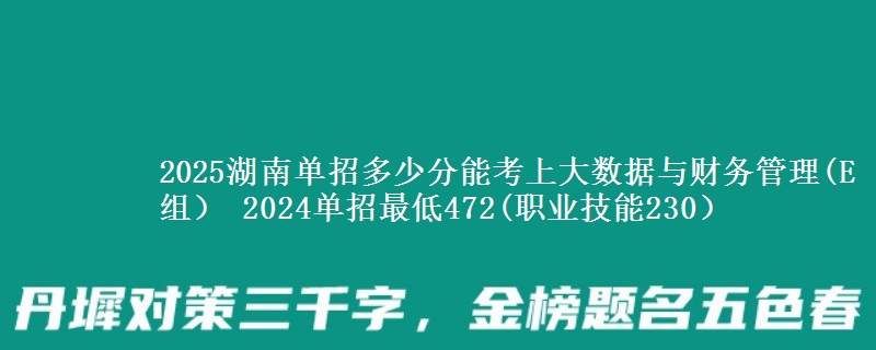 2025湖南單招多少分能考上大數據與財務管理(E組） 2024單招最低472(職業(yè)技能230）