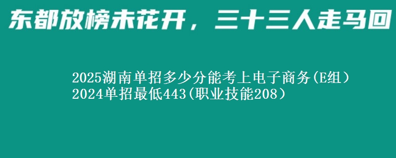 2025湖南單招多少分能考上電子商務(E組） 2024單招最低443(職業(yè)技能208）