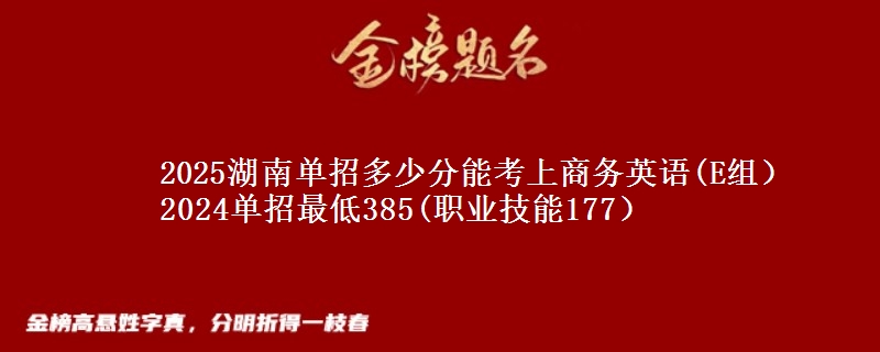 2025湖南單招多少分能考上商務英語(E組） 2024單招最低385(職業(yè)技能177）
