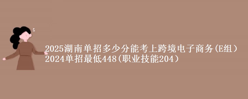 2025湖南單招多少分能考上跨境電子商務(E組） 2024單招最低448(職業(yè)技能204）
