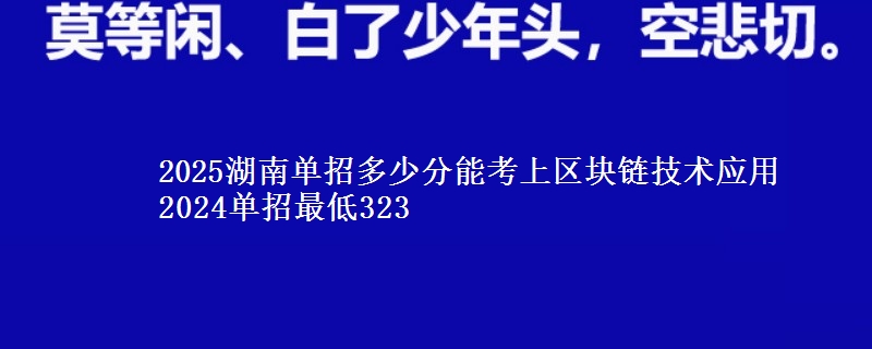 2025湖南單招多少分能考上區(qū)塊鏈技術(shù)應(yīng)用 2024單招最低323