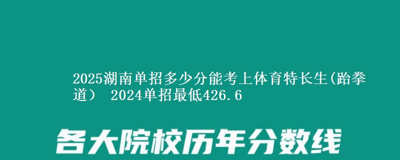 2025湖南單招多少分能考上體育特長生(跆拳道） 2024單招最低426.6