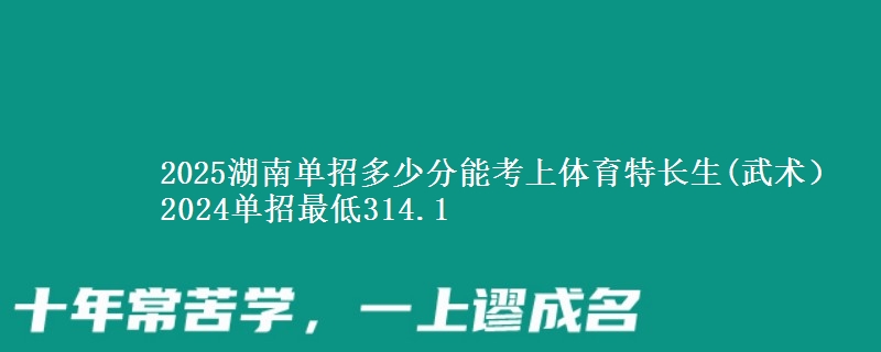2025湖南單招多少分能考上體育特長生(武術(shù)） 2024單招最低314.1