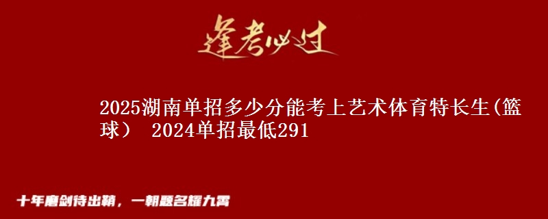 2025湖南單招多少分能考上藝術(shù)體育特長生(籃球） 2024單招最低291
