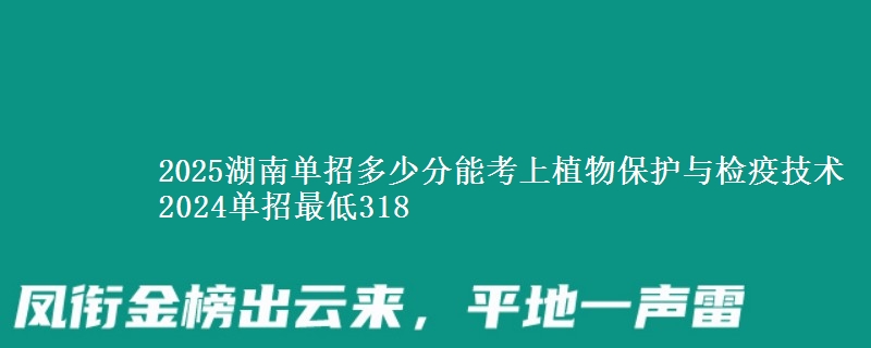 2025湖南單招多少分能考上植物保護與檢疫技術(shù) 2024單招最低318