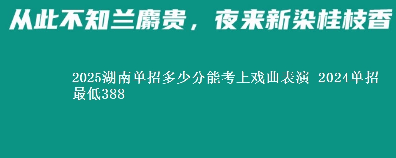 2025湖南單招多少分能考上戲曲表演 2024單招最低388