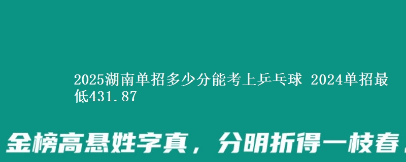 2025湖南單招多少分能考上乒乓球 2024單招最低431.87