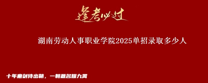 湖南勞動(dòng)人事職業(yè)學(xué)院2025單招錄取多少人