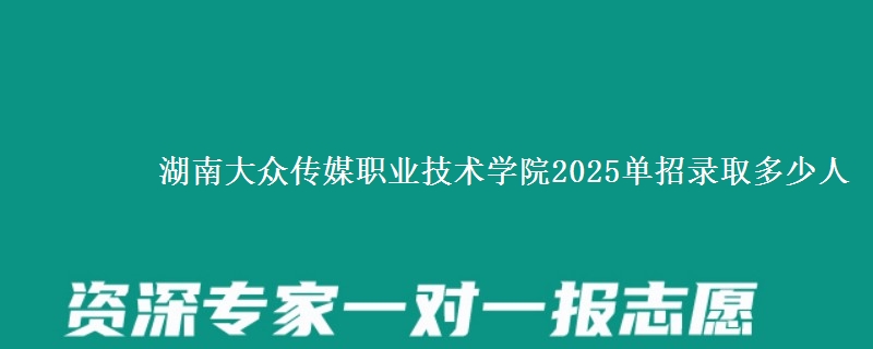 湖南大眾傳媒職業(yè)技術(shù)學(xué)院2025單招錄取多少人