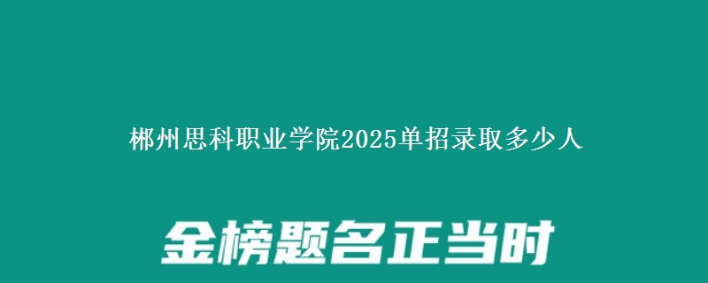 郴州思科職業(yè)學(xué)院2025單招錄取多少人
