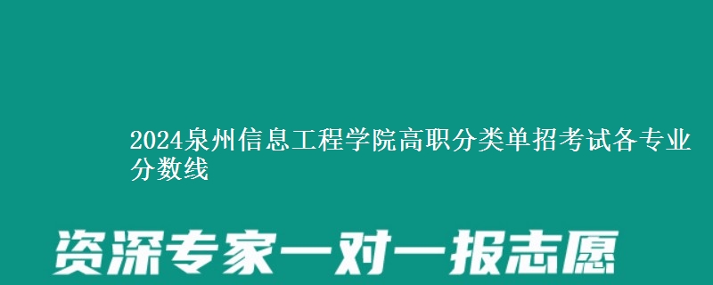 2024泉州信息工程學(xué)院高職分類單招考試各專業(yè)分?jǐn)?shù)線