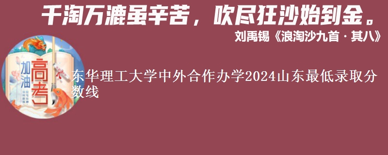 東華理工大學中外合作辦學2024山東最低錄取分數(shù)線