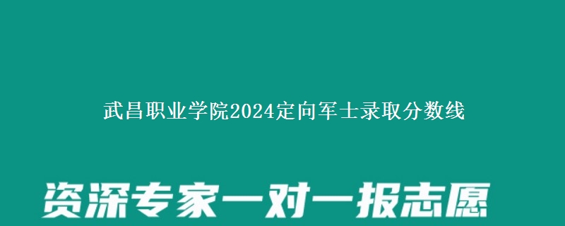 武昌職業(yè)學(xué)院2024定向軍士錄取分?jǐn)?shù)線