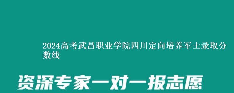 2024高考武昌職業(yè)學(xué)院四川定向培養(yǎng)軍士錄取分?jǐn)?shù)線