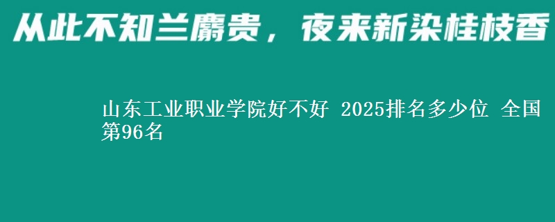 山東工業(yè)職業(yè)學(xué)院好不好 2025排名多少位 全國(guó)第96名