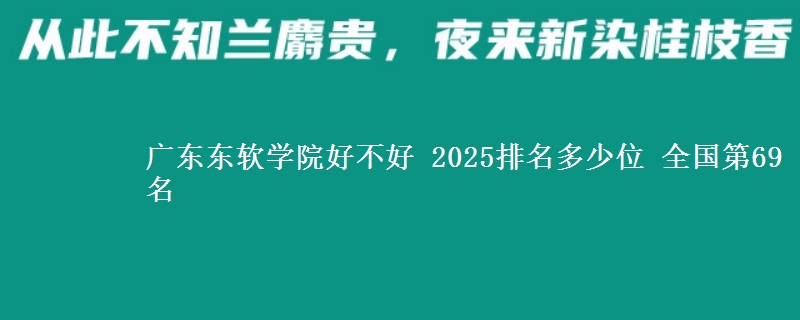 廣東東軟學(xué)院好不好 2025排名多少位 全國第69名