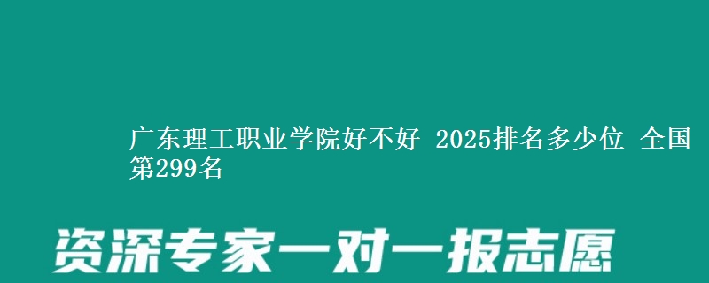 廣東理工職業(yè)學(xué)院好不好 2025排名多少位 全國第299名