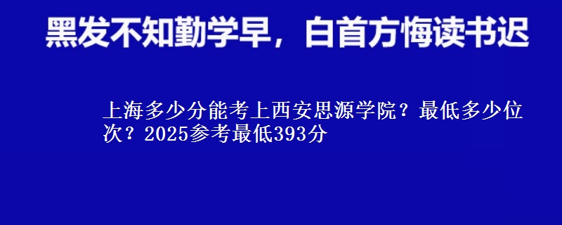 上海多少分能考上西安思源學(xué)院？最低多少位次？2025參考最低393分
