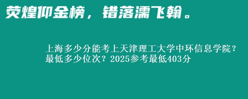 上海多少分能考上天津理工大學中環(huán)信息學院？最低多少位次？2025參考最低403分
