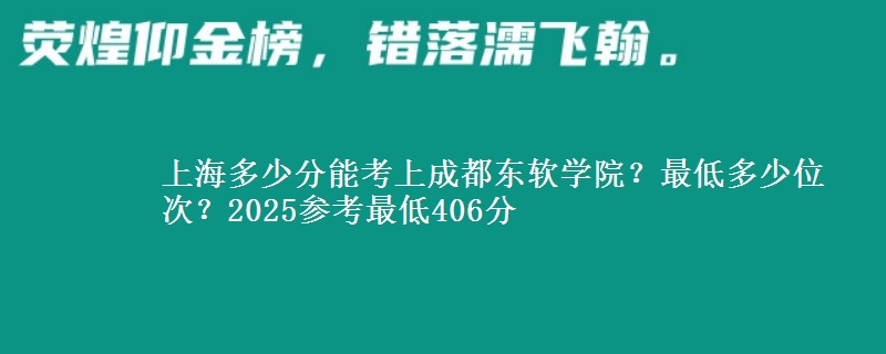 上海多少分能考上成都東軟學(xué)院？最低多少位次？2025參考最低406分
