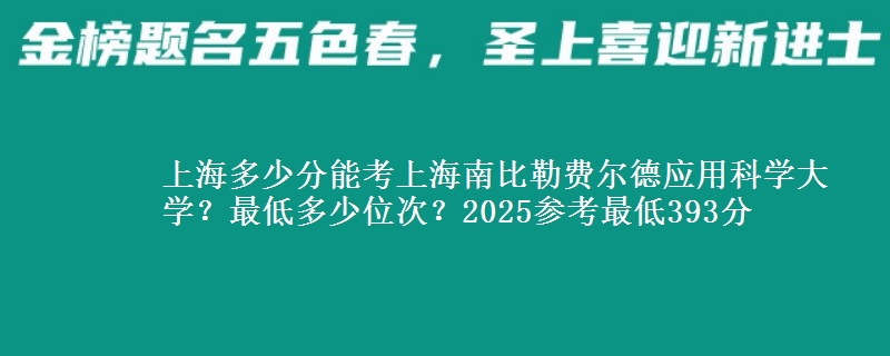 上海多少分能考上海南比勒費(fèi)爾德應(yīng)用科學(xué)大學(xué)？最低多少位次？2025參考最低393分