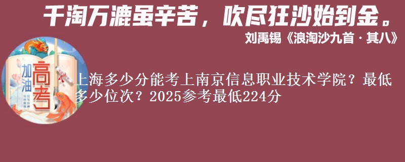 上海多少分能考上南京信息職業(yè)技術(shù)學(xué)院？最低多少位次？2025參考最低224分