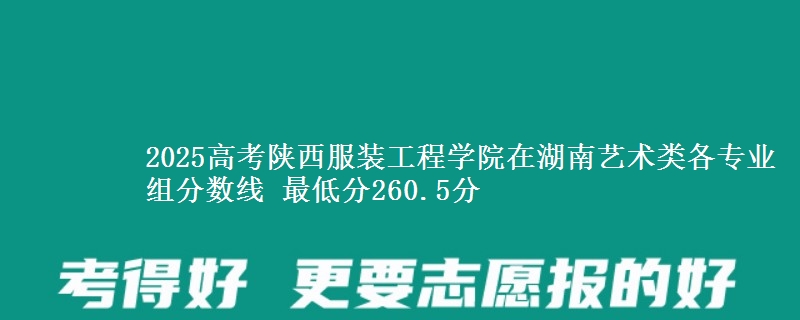 2025高考陜西服裝工程學(xué)院在湖南藝術(shù)類各專業(yè)組分數(shù)線 最低分260.5分