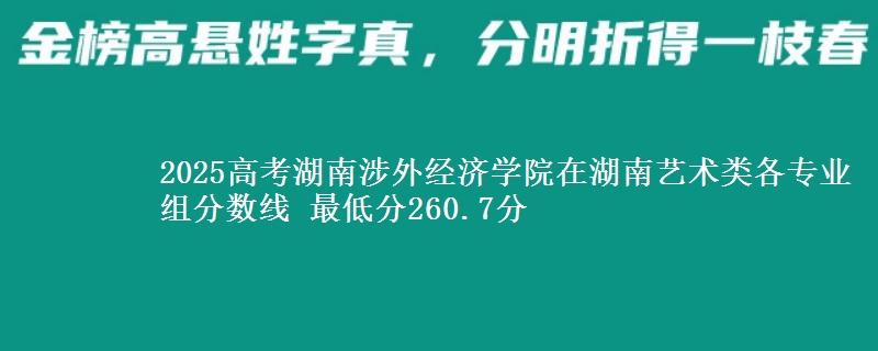 2025高考湖南涉外經(jīng)濟學(xué)院在湖南藝術(shù)類各專業(yè)組分數(shù)線 最低分260.7分