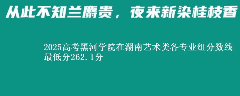 2025高考黑河學(xué)院在湖南藝術(shù)類各專業(yè)組分數(shù)線 最低分262.1分