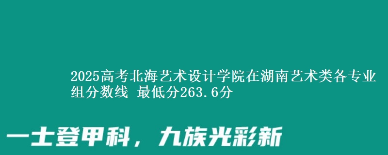 2025高考北海藝術(shù)設(shè)計學(xué)院在湖南藝術(shù)類各專業(yè)組分數(shù)線 最低分263.6分
