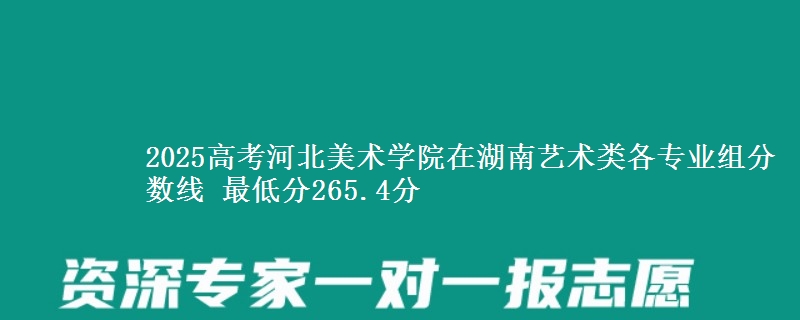 2025高考河北美術(shù)學(xué)院在湖南藝術(shù)類各專業(yè)組分?jǐn)?shù)線 最低分265.4分