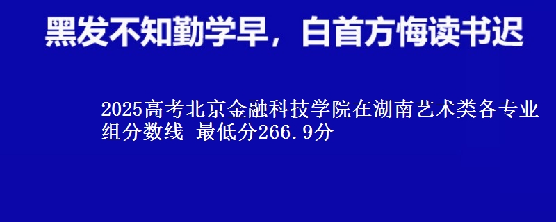 2025高考北京金融科技學院在湖南藝術(shù)類各專業(yè)組分數(shù)線 最低分266.9分