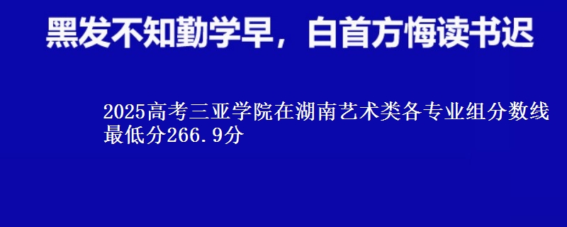 2025高考三亞學院在湖南藝術(shù)類各專業(yè)組分數(shù)線 最低分266.9分