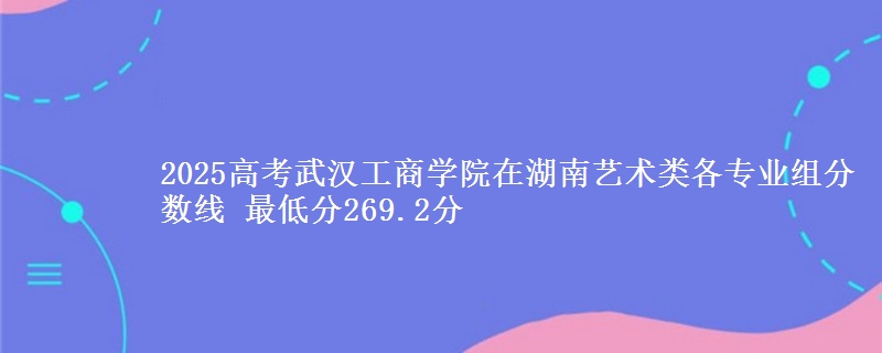 2025高考武漢工商學院在湖南藝術類各專業(yè)組分數(shù)線 最低分269.2分