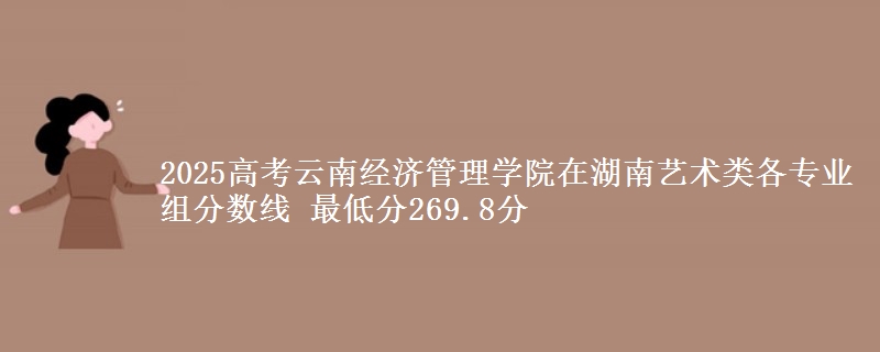 2025高考云南經(jīng)濟管理學院在湖南藝術類各專業(yè)組分數(shù)線 最低分269.8分
