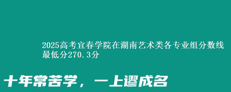 2025高考宜春學(xué)院在湖南藝術(shù)類各專業(yè)組分?jǐn)?shù)線 最低分270.3分