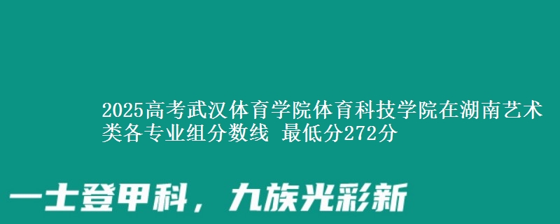 2025高考武漢體育學(xué)院體育科技學(xué)院在湖南藝術(shù)類各專業(yè)組分?jǐn)?shù)線 最低分272分