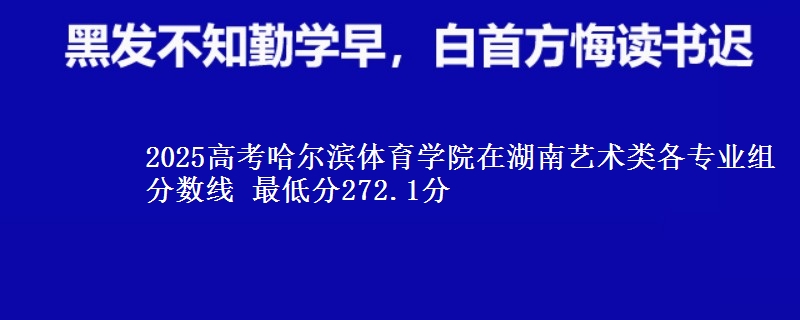 2025高考哈爾濱體育學(xué)院在湖南藝術(shù)類各專業(yè)組分?jǐn)?shù)線 最低分272.1分