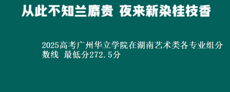 2025高考廣州華立學院在湖南藝術類各專業(yè)組分數(shù)線 最低分272.5分