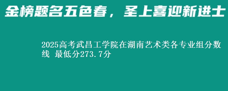 2025高考武昌工學院在湖南藝術類各專業(yè)組分數(shù)線 最低分273.7分
