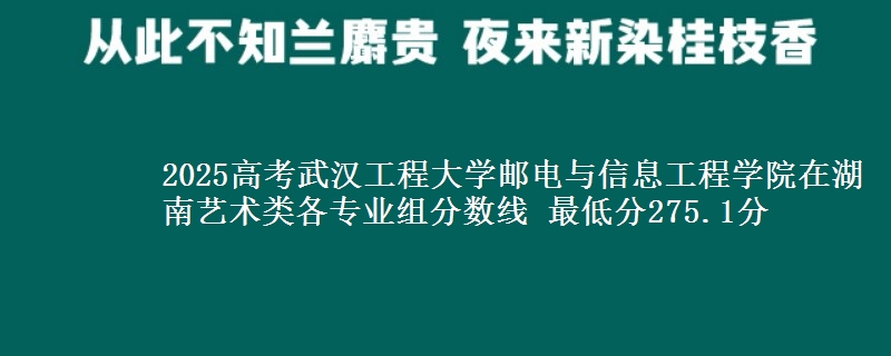 2025高考武漢工程大學(xué)郵電與信息工程學(xué)院在湖南藝術(shù)類各專業(yè)組分?jǐn)?shù)線 最低分275.1分