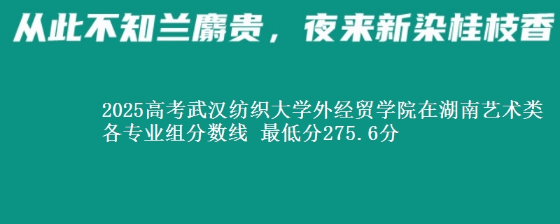 2025高考武漢紡織大學(xué)外經(jīng)貿(mào)學(xué)院在湖南藝術(shù)類各專業(yè)組分?jǐn)?shù)線 最低分275.6分