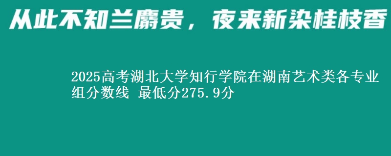 2025高考湖北大學知行學院在湖南藝術(shù)類各專業(yè)組分數(shù)線 最低分275.9分