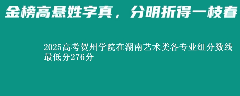 2025高考賀州學院在湖南藝術(shù)類各專業(yè)組分數(shù)線 最低分276分